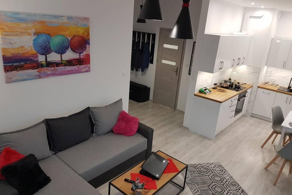 Komfortowy Nowoczesny Apartament Kustronia Z Garazem Balkonem Wanna Bielsko-Biała Exterior foto