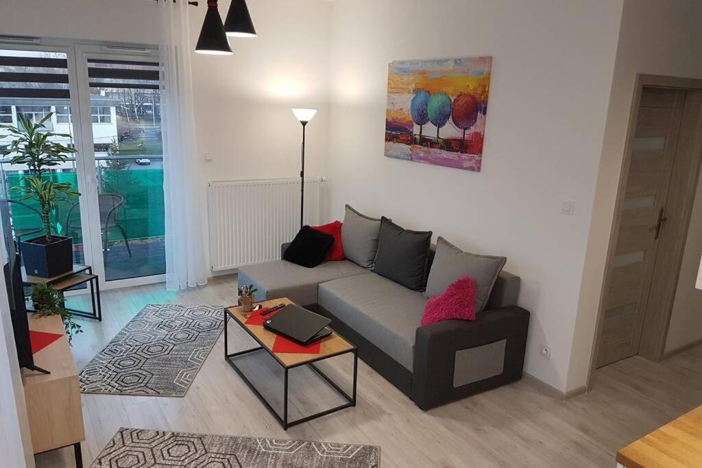 Komfortowy Nowoczesny Apartament Kustronia Z Garazem Balkonem Wanna Bielsko-Biała Exterior foto